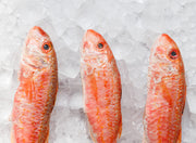 Whole Red Mullet