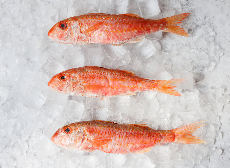 Whole Red Mullet