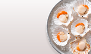 Scallops