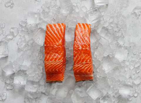 Steelhead Trout Fillets x 2