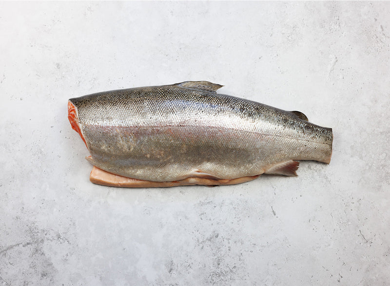 Whole Fresh Steelhead Trout