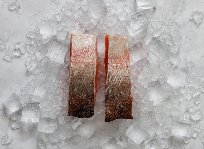 Steelhead Trout Fillets x 2