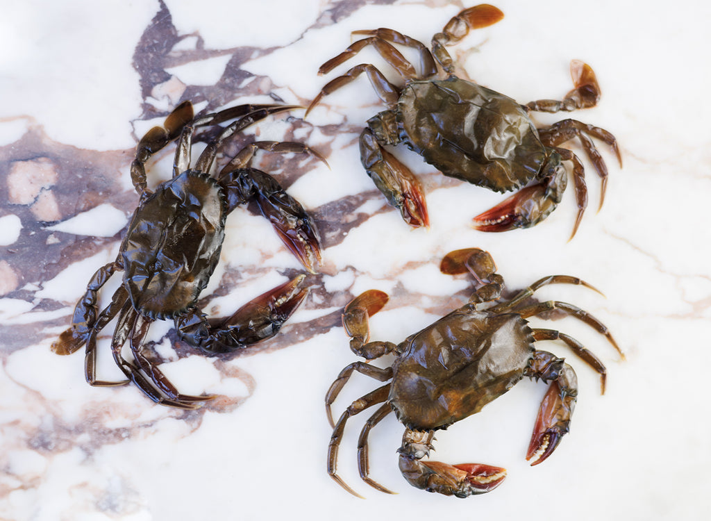 Soft Shell Crabs - Wright Brothers Home Delivery