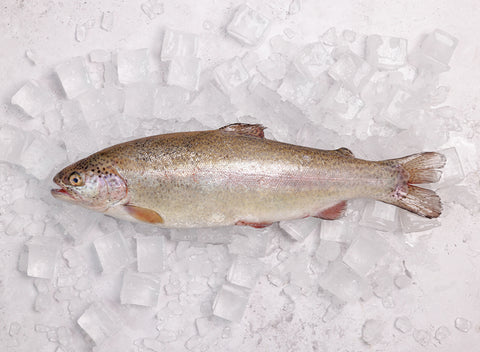 Frozen Seafood Box