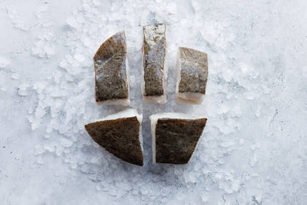 Fresh Wild Turbot in Tranche portions