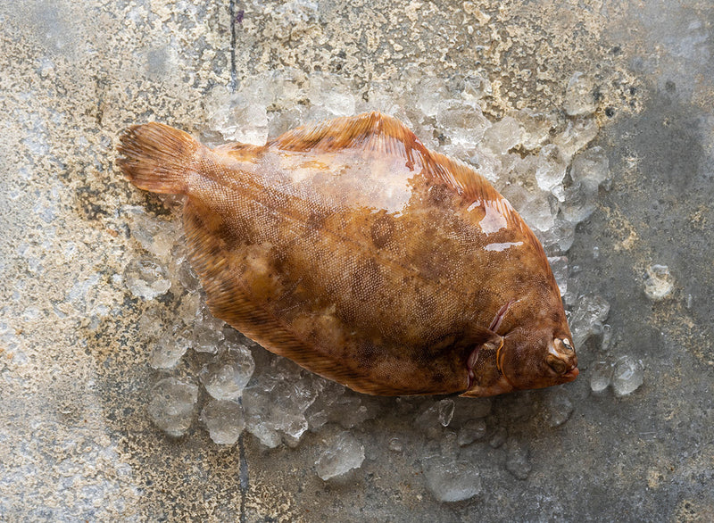 Whole Lemon Sole