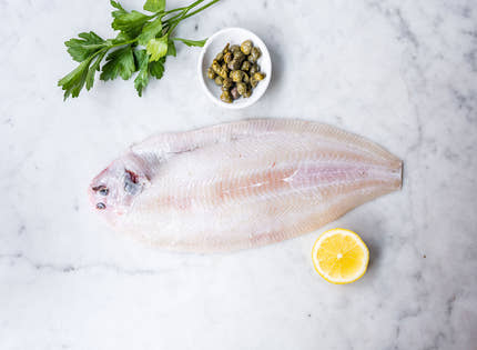 Dover Sole Whole