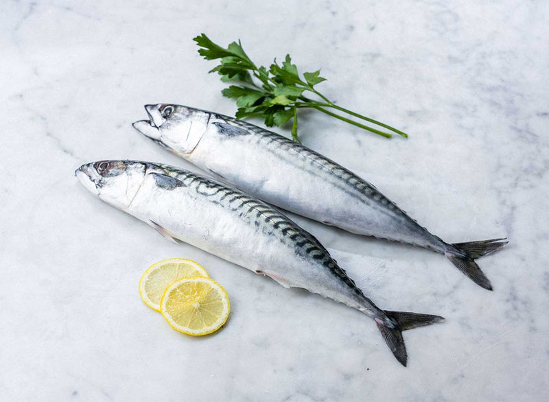 Fresh Mackerel Whole 500g pack