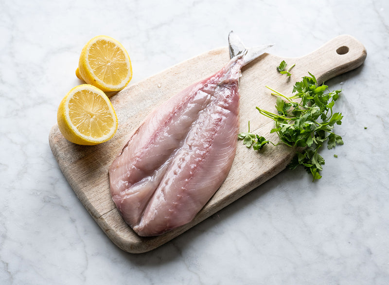 Butterfly Mackerel x 1
