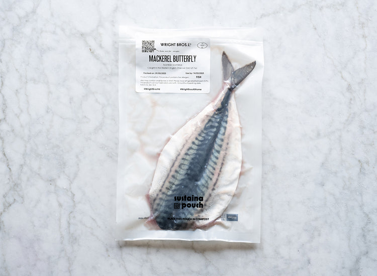 Butterfly Mackerel x 1