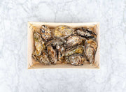 Fresh Carlingford Oysters x 12