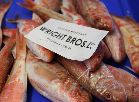 a box of fish Catch of the Day