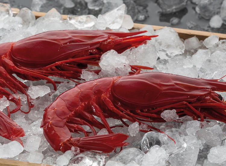 Carabineros