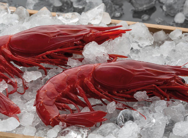 Large Carabineros (Frozen)