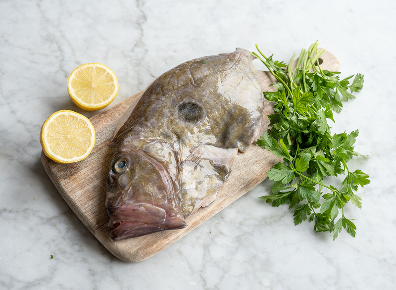 John Dory Whole Fish