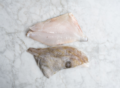 John Dory Fillets x 2