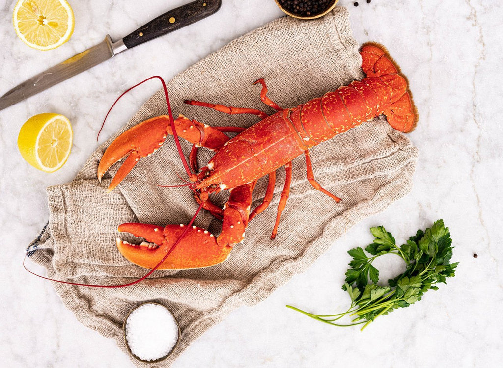 Fresh Cooked Lobster, Large, 600-800g - Wright Brothers Home Delivery