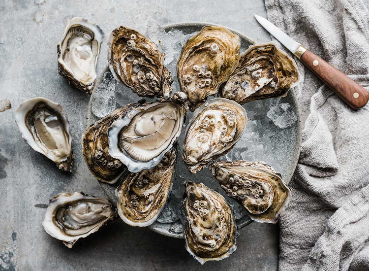 Louët-Feisser Oysters x 12