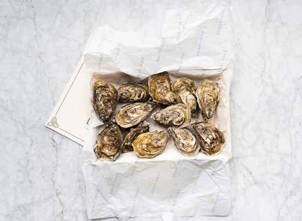 Louët-Feisser Oysters x 12