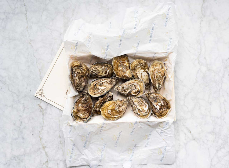 Louët-Feisser Oysters x 12