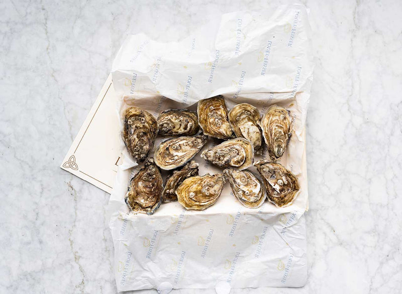 Louët-Feisser Oysters