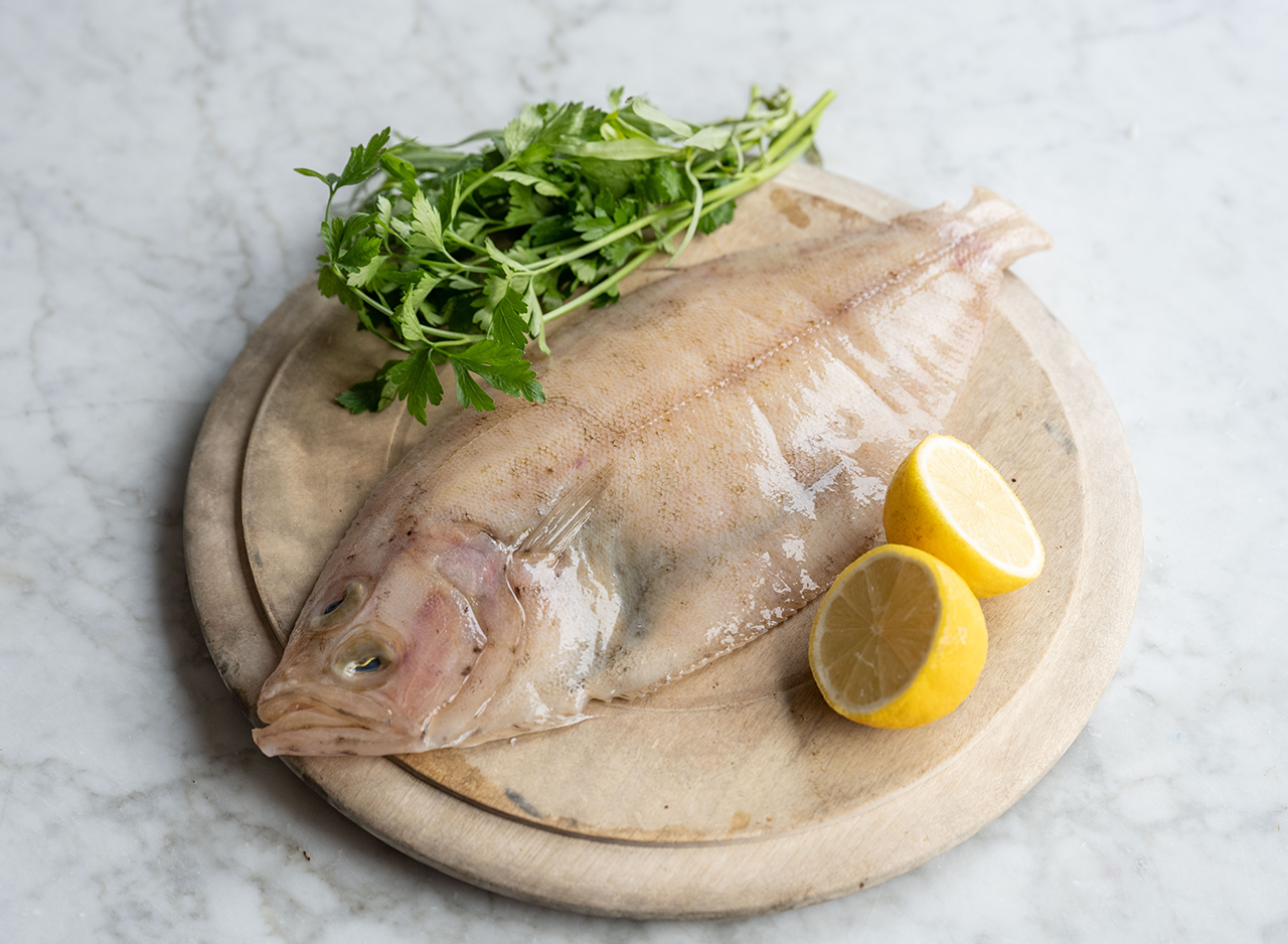 Mergrim Fish Megrim Sole Fish - Buy Megrim Fish Fillets Online - Wright Brothers ...