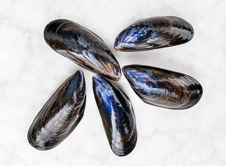Fresh Live Mussels 900g to 1kg