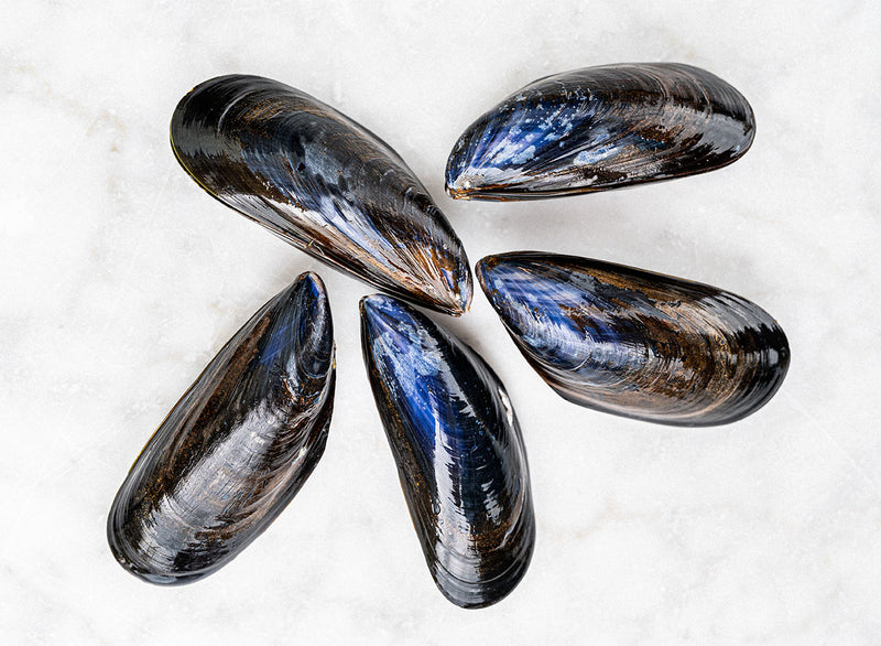 Fresh Live Mussels 1kg