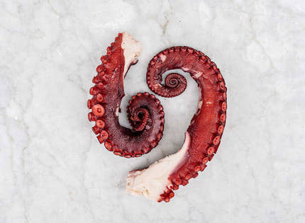 Cooked Octopus Tentacles x 2