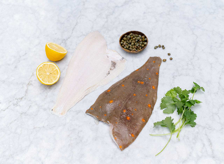 Fresh Plaice Fillets x 2