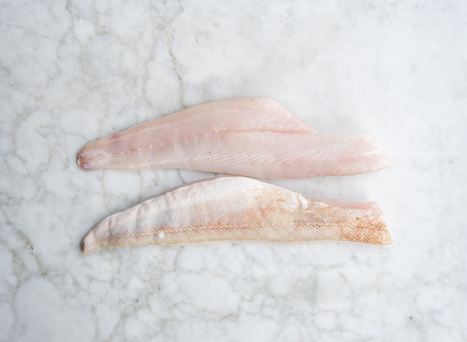 Gurnard Fillets x 2