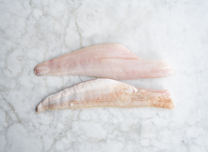 Gurnard Fillets x 2