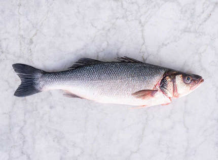 Sea Bass Whole