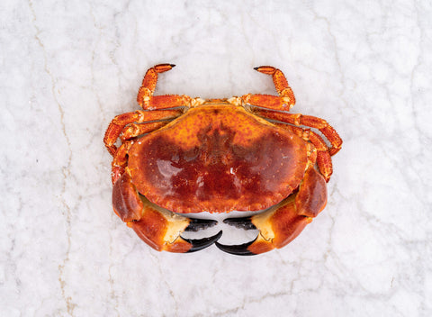 Whole Cooked Male Crab