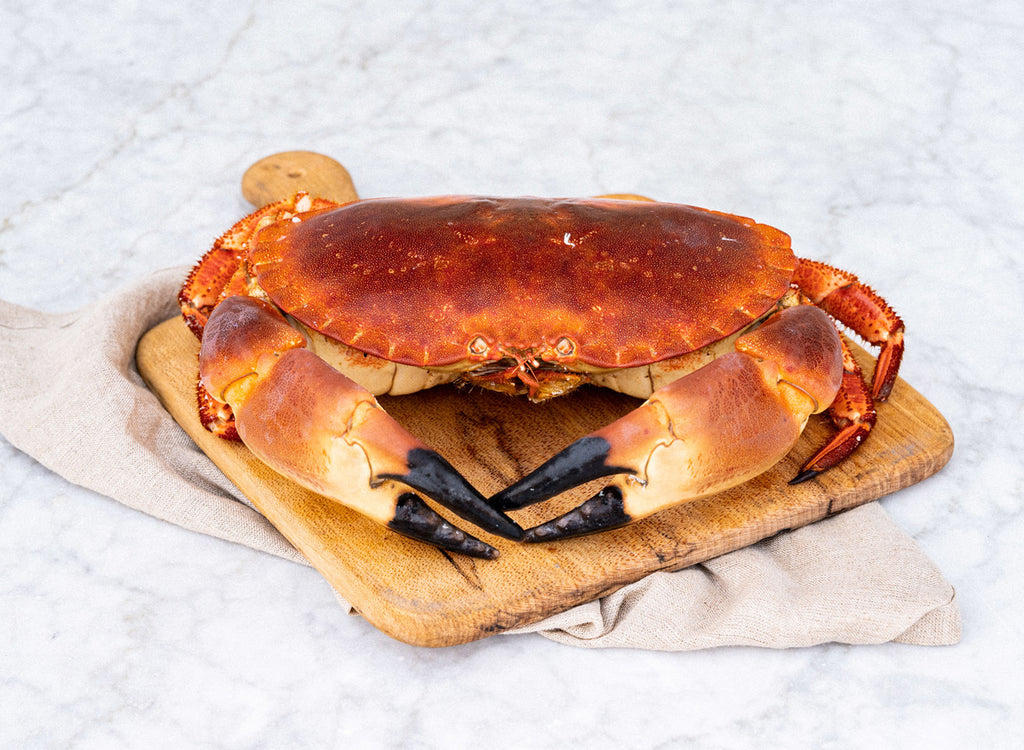 Whole Cooked Crab - Fresh Seafood Online - Wright Brothers Home Delivery