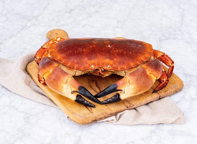 Whole Cooked Male Crab