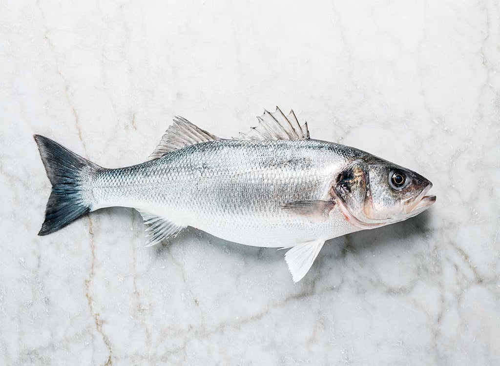 Wild Sea Bass Whole Fresh Fish Online Wright Brothers Home Delivery
