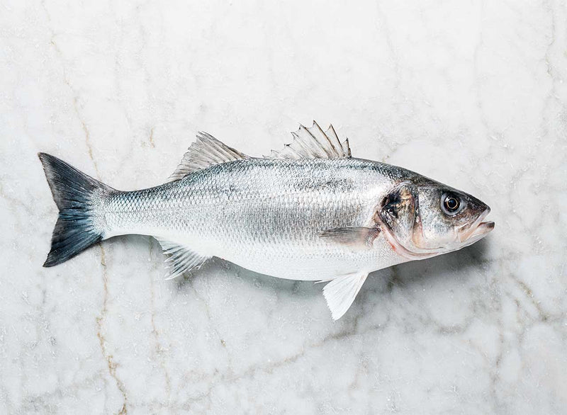 Wild Sea Bass Whole