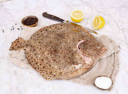 Whole Fresh Wild Turbot